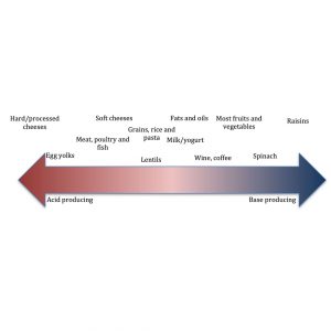 this picture summarize the dietary acid load to various foods