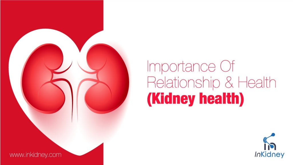 Love, and relationships can have a great impact on kidney health