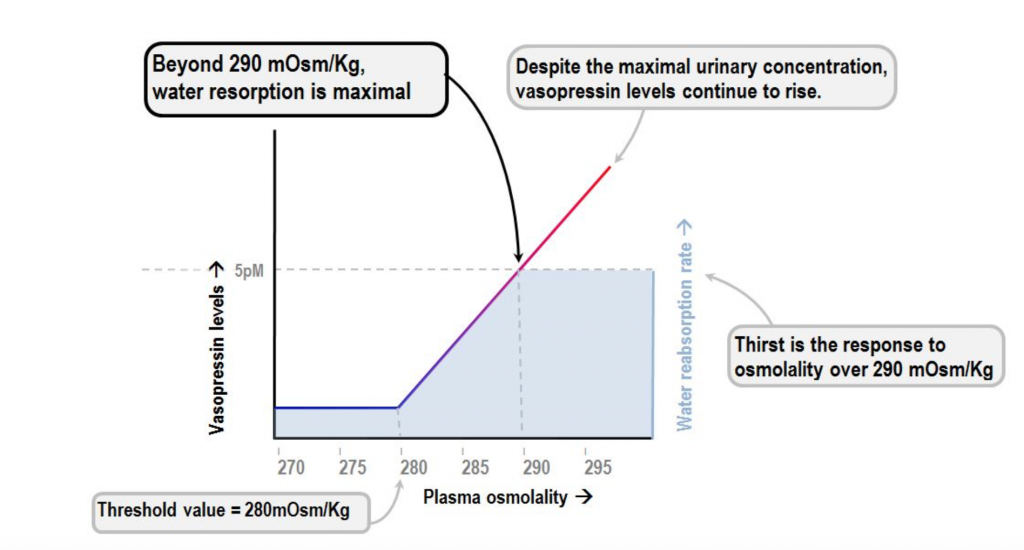 When sodium level is below certain level (serum osmolality of less than 280), ADH excretion will be shuttered off completely