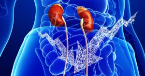 Reinoculate step of the 5R protocol for kidney health