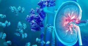 biochemistry of amino acid metabolism