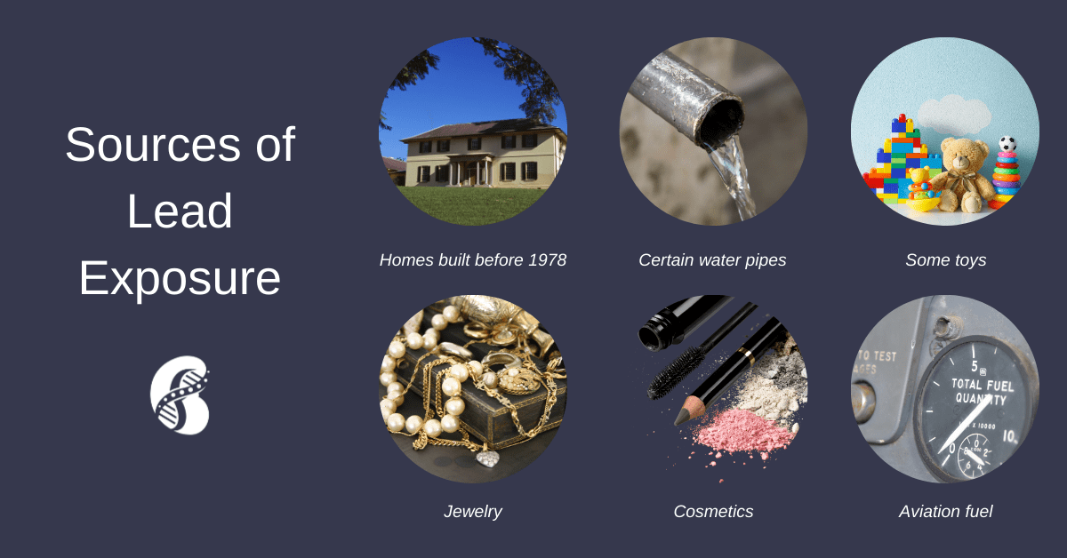 Lead Exposure and Kidney Health — Integrative Kidney