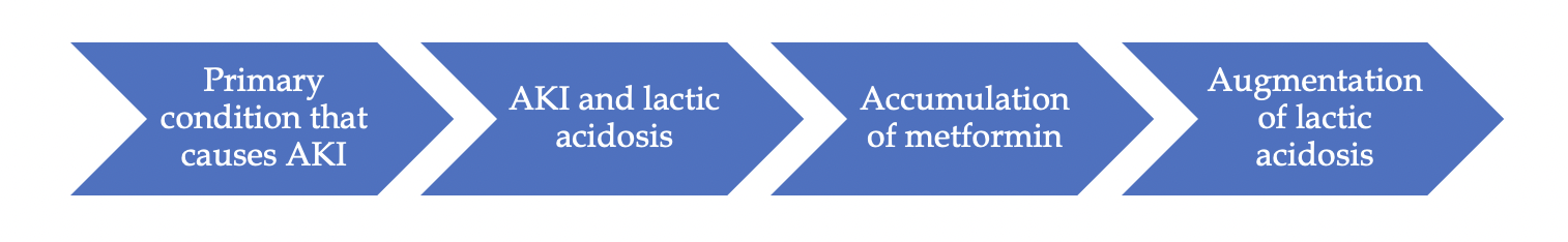 correct paradigm about metformin use in kidney disease