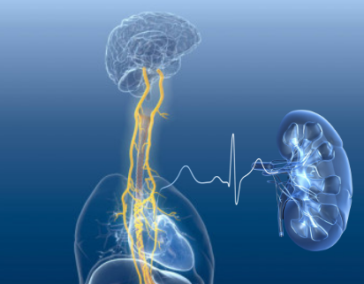 Vagus nerve stimulation