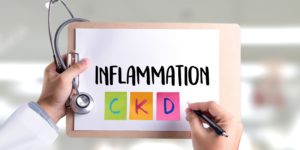 inflammation in CKD