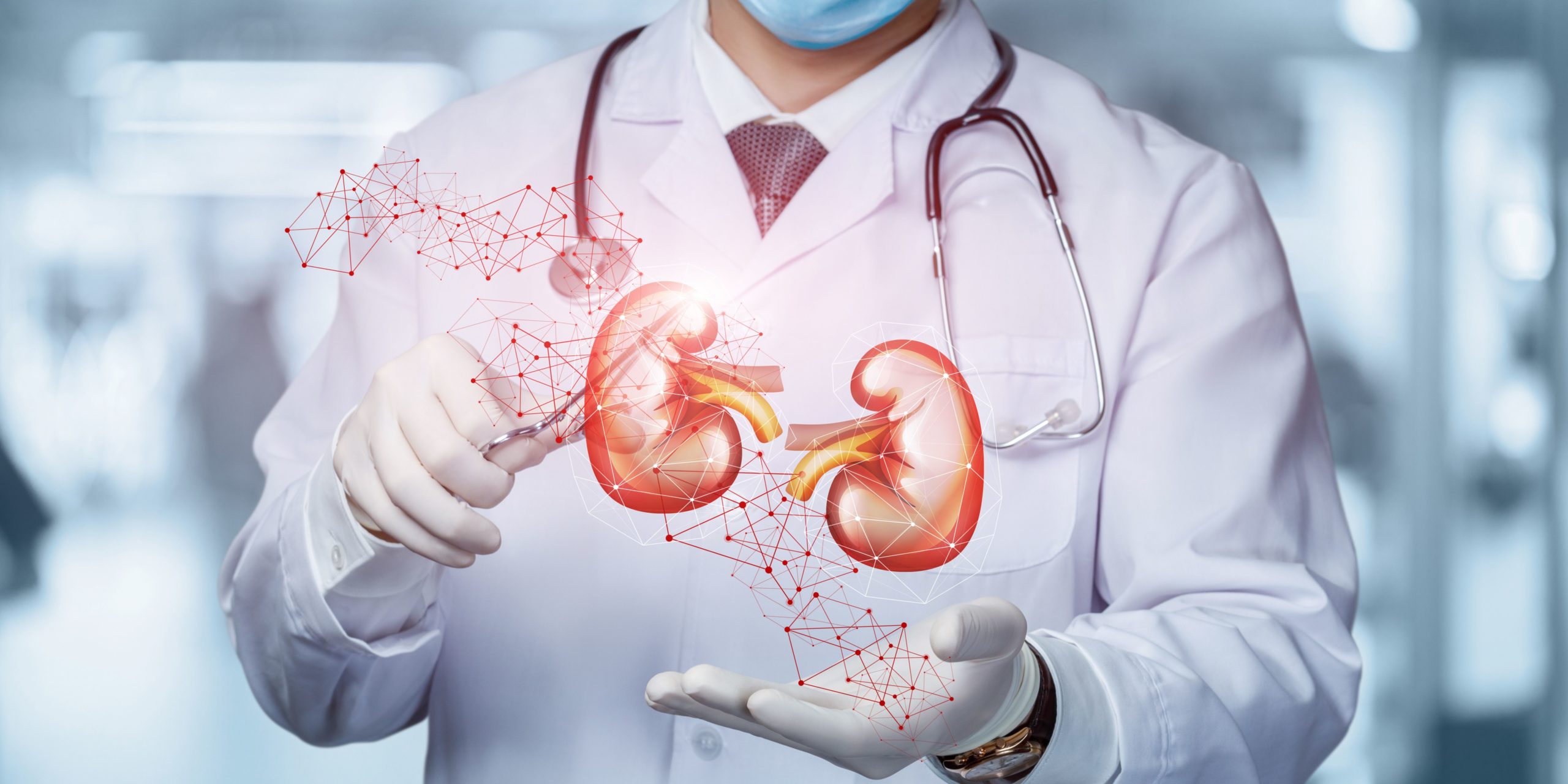 what-chemicals-can-cause-kidney-disease-integrative-kidney